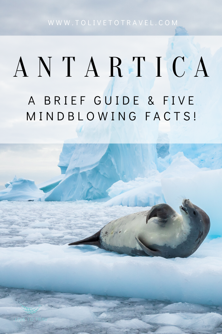 Antartica; A Brief Guide and Five Mind-blowing Facts. - To Live To Travel